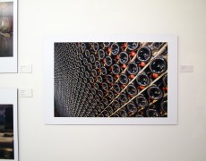 (de) Nördlich von Trient, südlich von Bozen – Wein und Landschaft