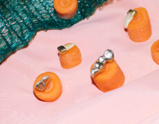 Upcoming exhibition: Stefanie Moshammer – Grandmother said it’s okay