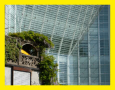 26 May | Talk: Lebensräume im Wandel – Salzburg / Südtirol with Kurt Kaindl