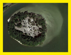 19 June | Book Launch: Made Ground – Shona Kitchen and Aly Ogasian 